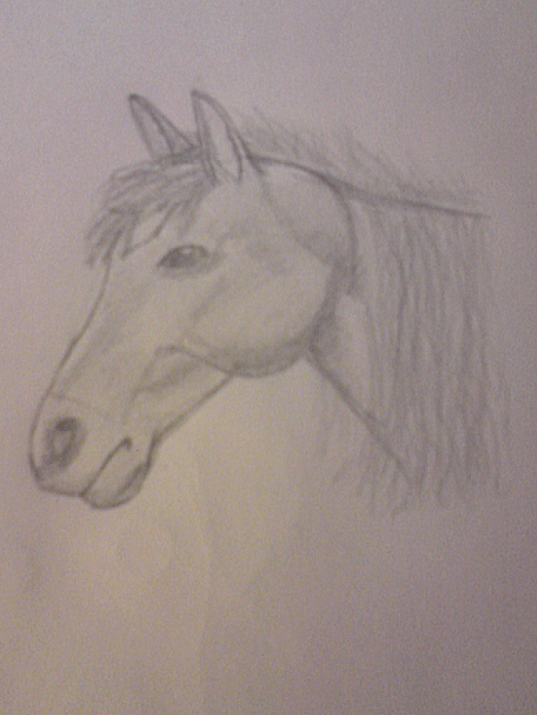 Horse Side